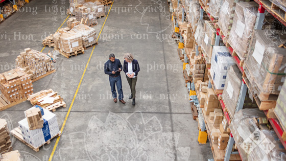 Translation of Supply Chain Logistics Software