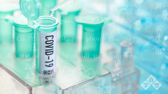 Translation of Global Clinical Trials