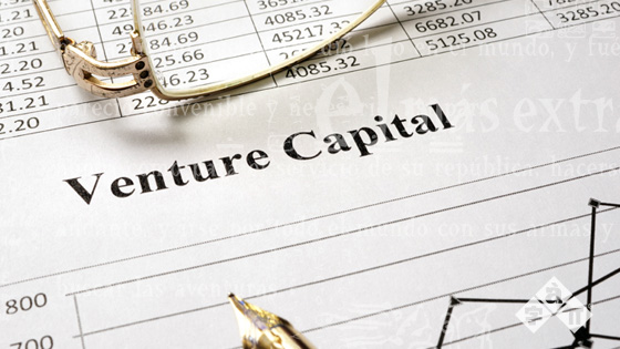 Venture Capital Investments